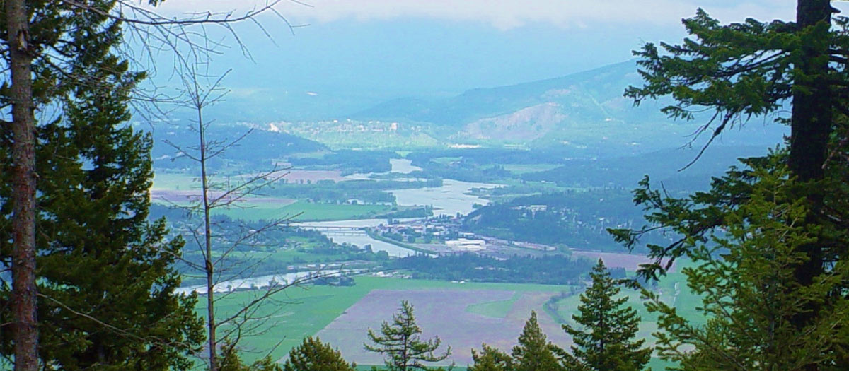 A view down into a valley, framed by trees.