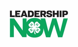 Leadership Now Logo