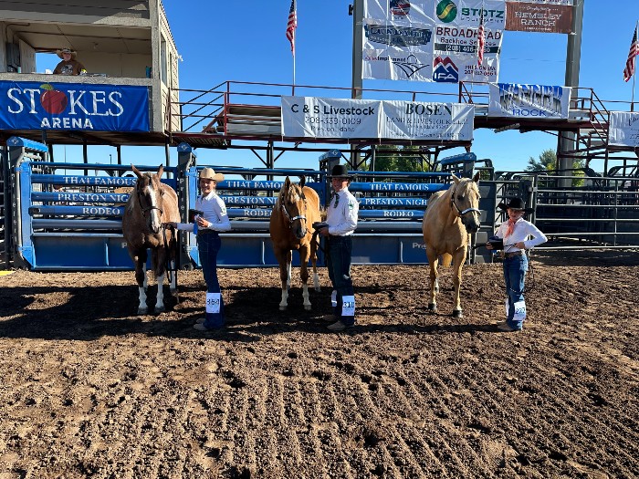 3 kids with their horses