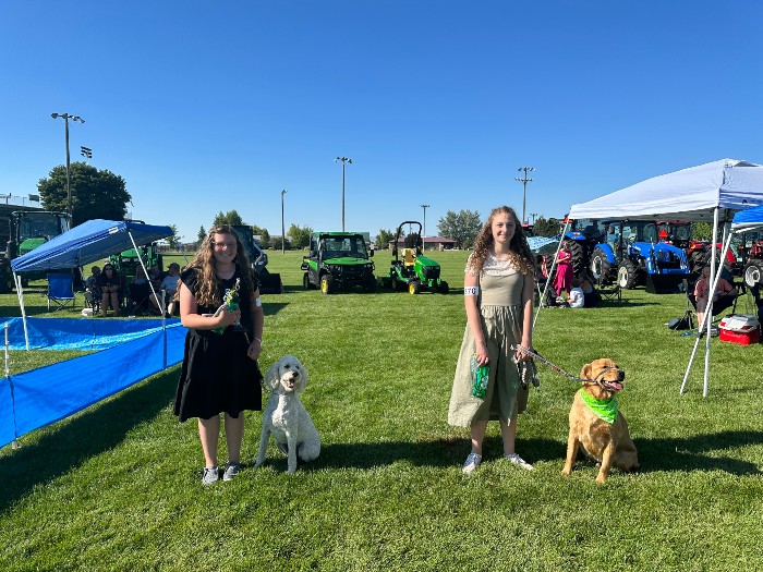 Dog show participants 