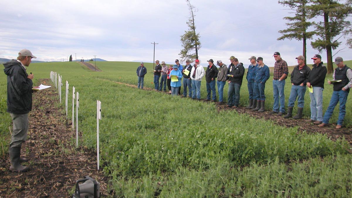 Teaching about different varieties out in the field