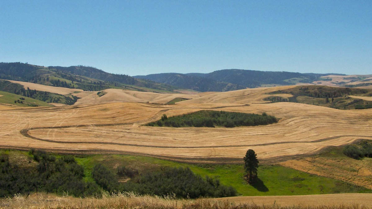 scenic view of McCormick Ridge