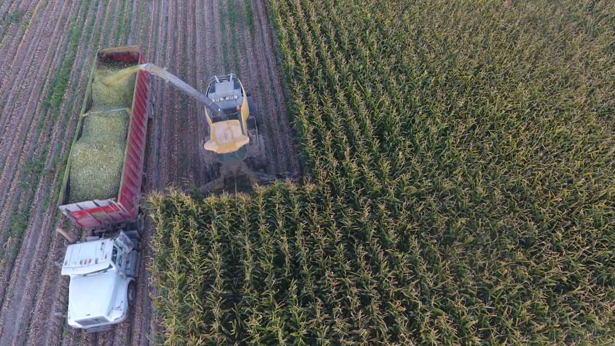areal photo of farming equipment harvesting product from a field