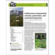 Herbaceous Ornamentals: Annuals, Perennials, and Ornamental Grasses