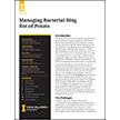 Managing Bacterial Ring Rot of Potato 