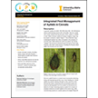 Integrated Pest Management of Aphids in Cereals