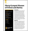 Sharp Eyespot Disease of Wheat and Barley