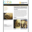 Integrated Pest Management of Fusarium Dry Rot in Potato