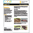 Integrated Pest Management of Cutworms