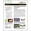Integrated Pest Management of Armyworms