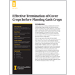 Effective Termination of Cover Crops before Planting Cash Crops