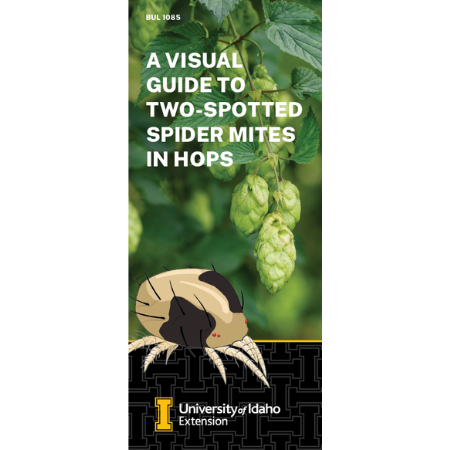 A Visual Guide to Two-Spotted Spider Mites in Hops