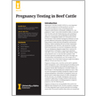 Pregnancy Testing in Beef Cattle