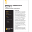 Twospotted Spider Mite on Sugar Beet: Importance, Identification and Management