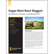 Sugar Beet Root Maggot: Identification, Biology, and Management