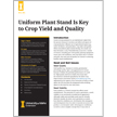 Uniform Plant Stand Is Key to Crop Yield and Quality