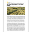 Irrigation and Nitrogen Fertilization Affect End-Use Quality of Spring Wheat of Three Market Classes