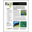 Core Aeration of Lawnsâ€”Benefits and Procedures