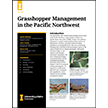Grasshopper Management in the Pacific Northwest