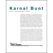 Karnal Bunt