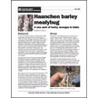 Haanchen Barley Mealybug: A New Pest of Barley Emerges in Idaho