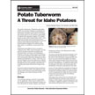 Potato Tuberworm: A Threat for Idaho Potatoes