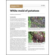 White Mold of Potatoes