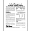 Cultural Management of Ranger Russet Potatoes