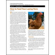 How to Feed Your Laying Hens