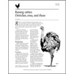 Raising Ratites: Ostriches, Emu, and Rheas