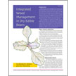 Integrated Weed Management in Dry Edible Beans