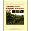 Commercial Red Raspberry Production