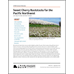 Sweet Cherry Rootstocks for the Pacific Northwest