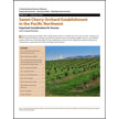 Sweet Cherry Orchard Establishment in the Pacific Northwest: Important Considerations for Success