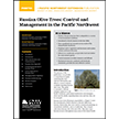 Russian Olive Trees: Control and Management in the Pacific Northwest