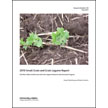 2010 Small Grain and Grain Legume Report of the Northern Idaho Small Grain and Grain Legume Research and Extension Program