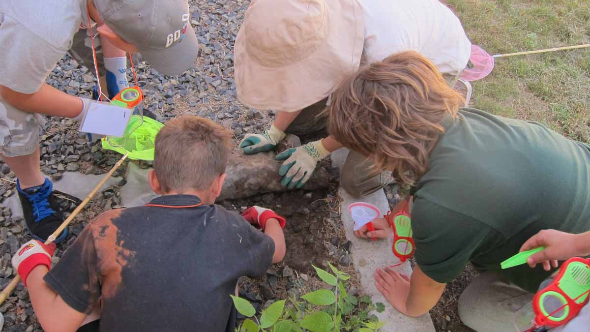 exploring soil