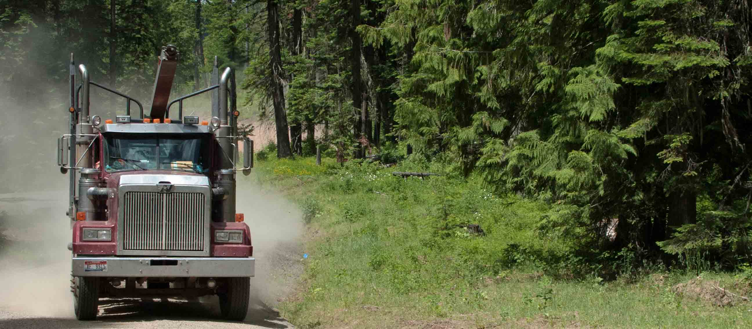 Log truck on a forest road