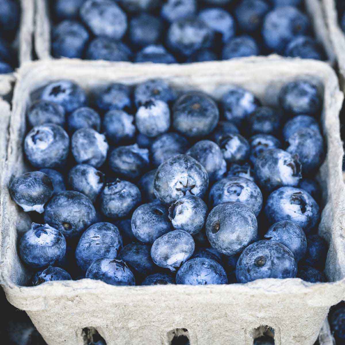 Carton full of ripe blueberries ready to eat.