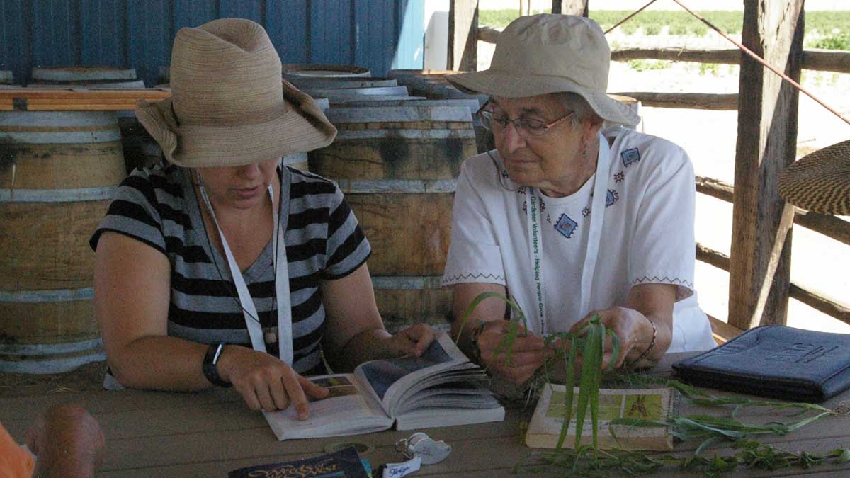 two ladies investigating leaves of a plant