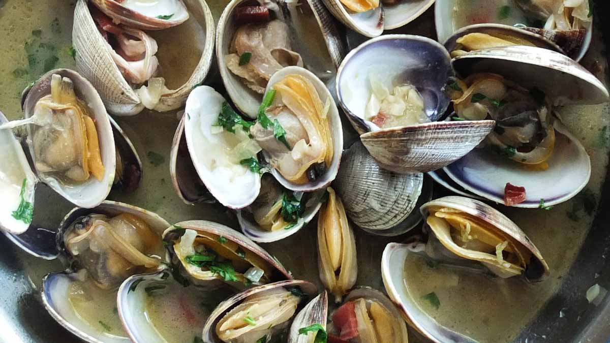 A bowl of steamed clams. Photo by Adrien Sala on Unsplash