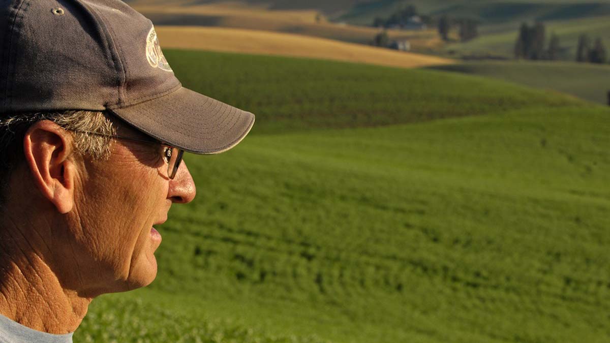 Alumnus Russell Zenner looks over a green wheat field
