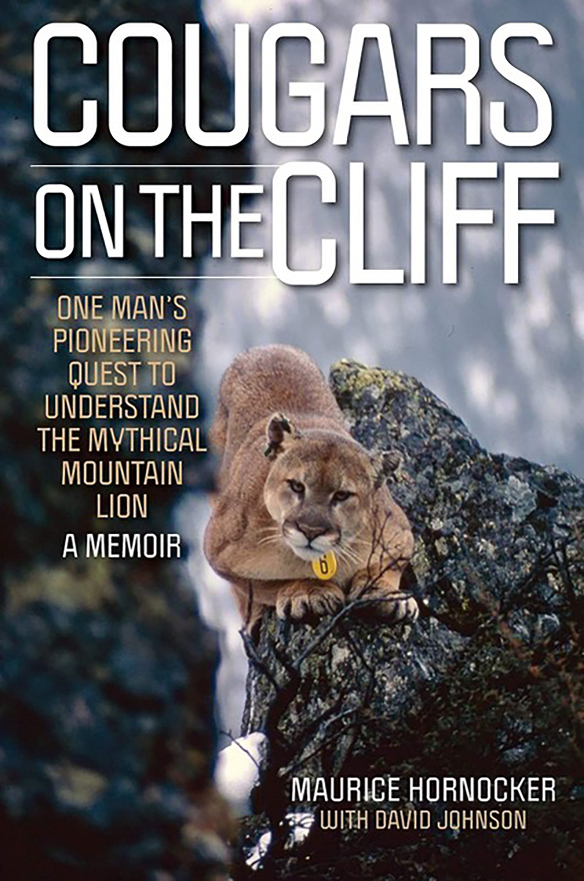  A book cover with a cougar, reading "Cougars on the Cliff."
