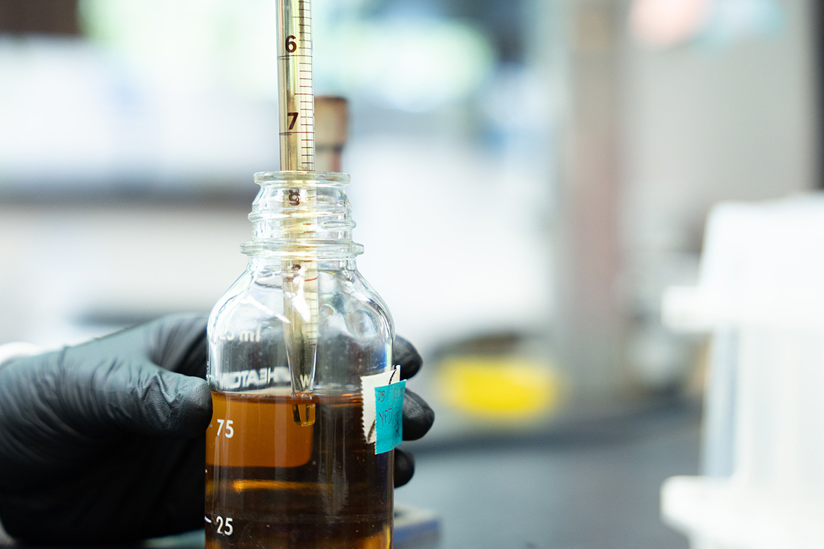 Brown liquid is pipetted into a Petri dish.