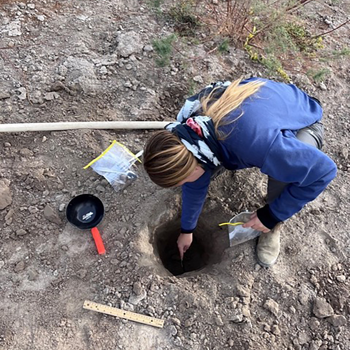 A woman digs a hole in rocky ground.