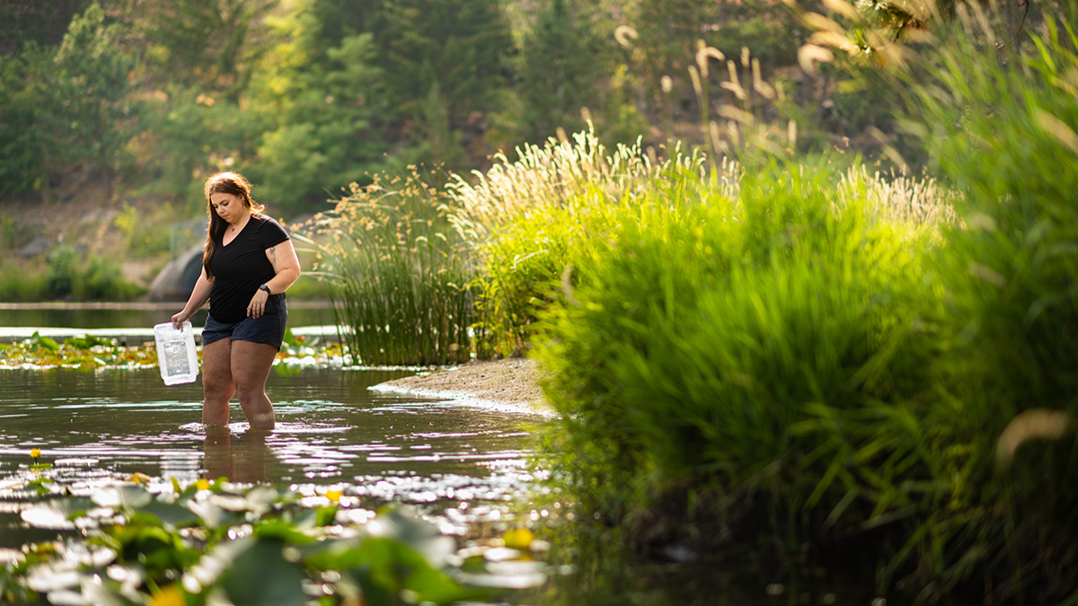Girl wading into lake to collect samples.