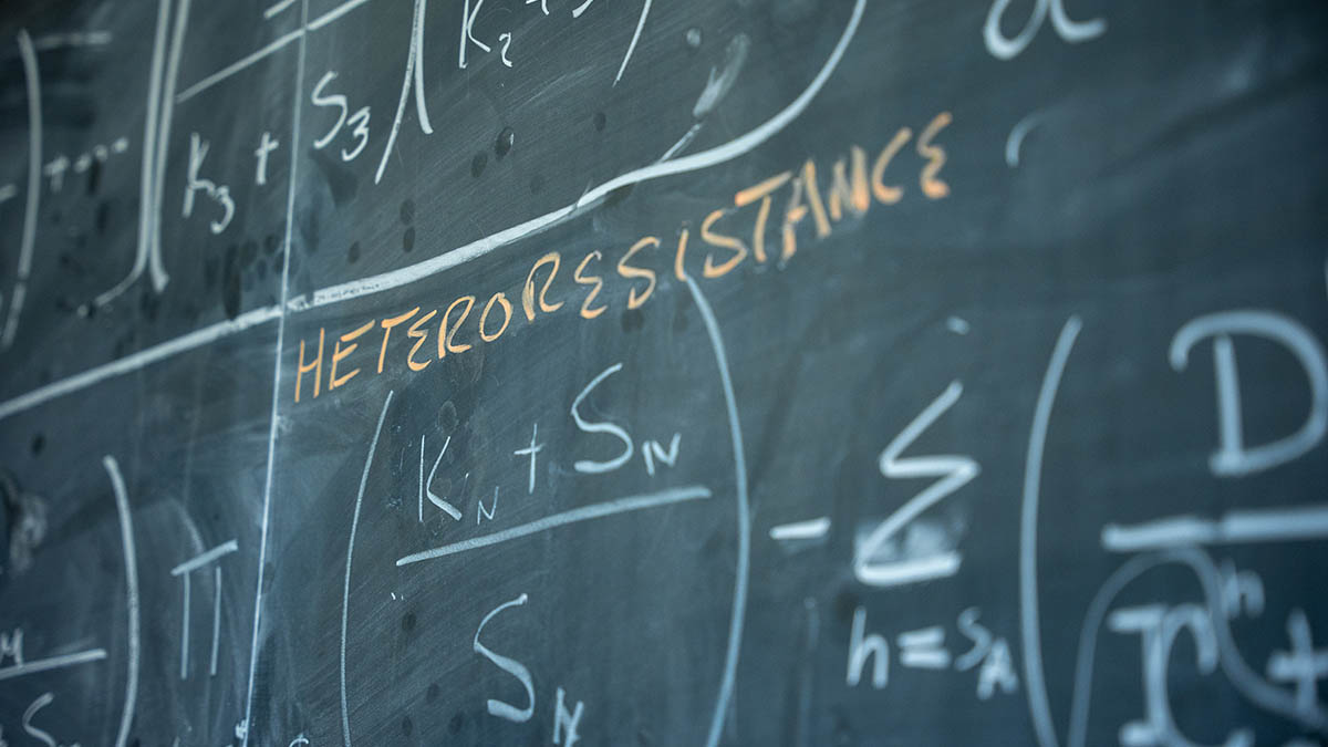 A mathematical formula on a black board.