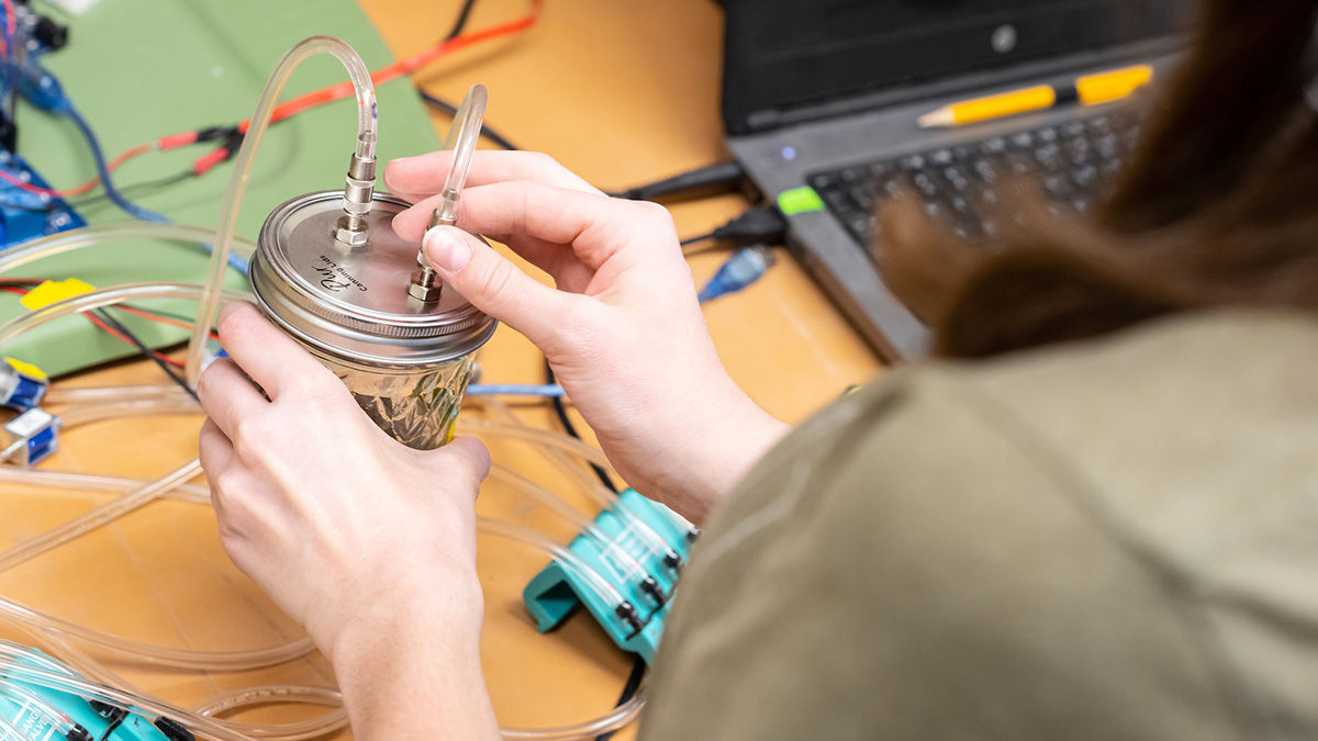 Woman hooks sensors to the lid of a jar of soil.