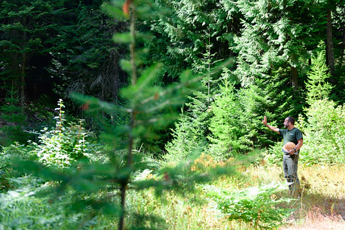 A man waves a hand with a forest in the background. 