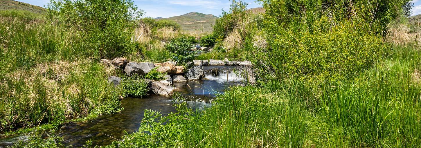 The Rinker Rock Creek